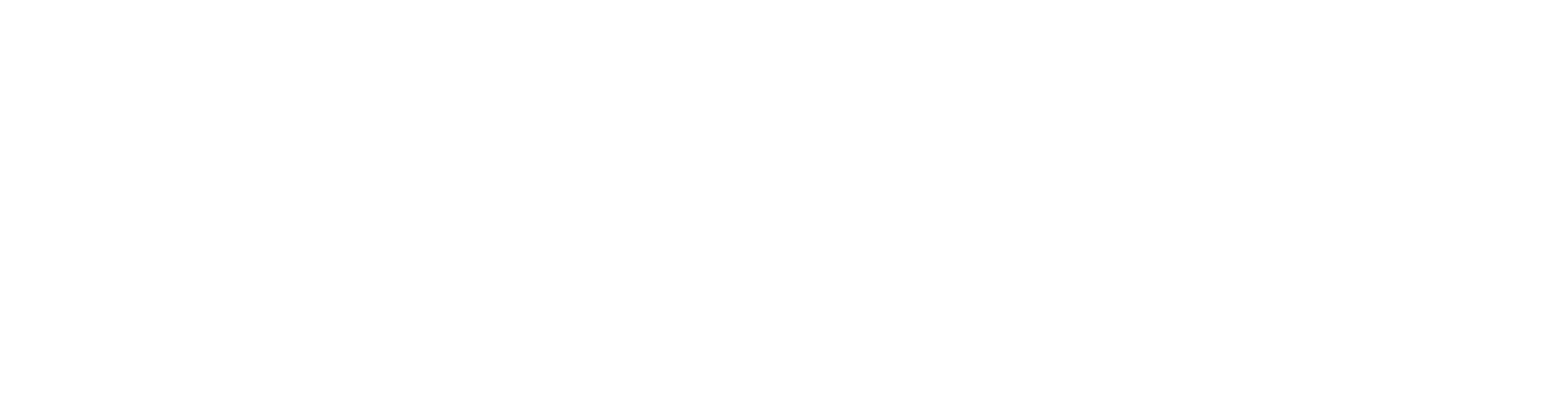 ES_Financiado_por_la_Unión_Europea_RGB_WHITE_Outline